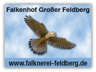 Falkenhof Großer Feldberg Christian Wick